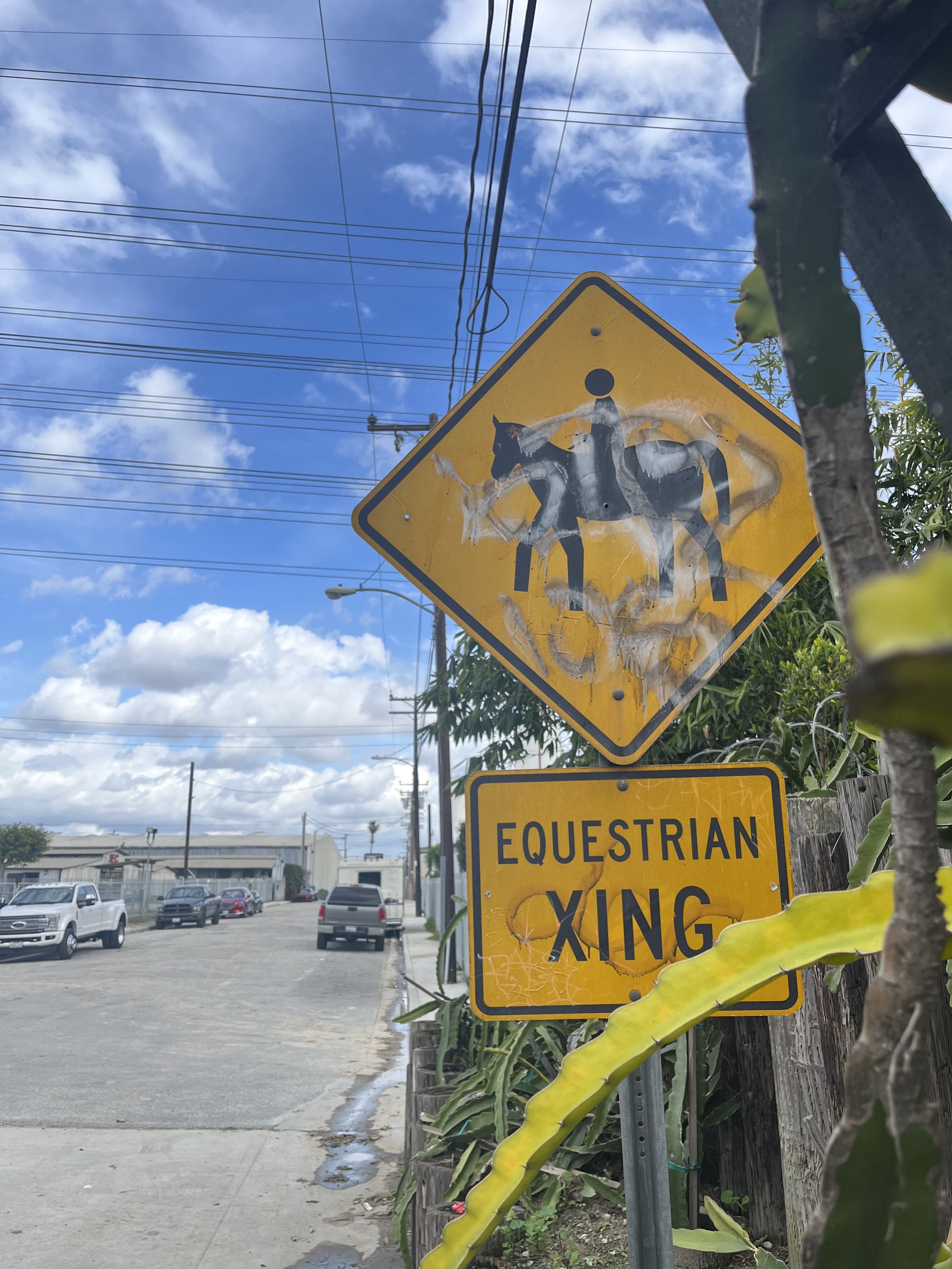 Equestrian Road Sign